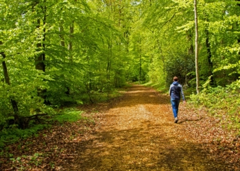 Naturschützer beobachten neue Lust auf Natur mit Sorge