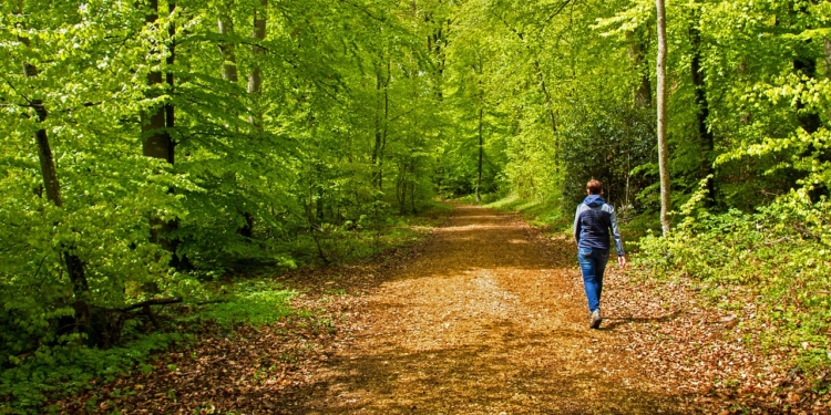 Naturschützer beobachten neue Lust auf Natur mit Sorge