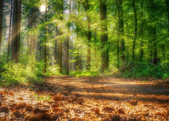 Naturpark-Veranstaltungen starten wieder
