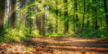 Naturpark-Veranstaltungen starten wieder