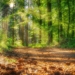 Naturpark-Veranstaltungen starten wieder