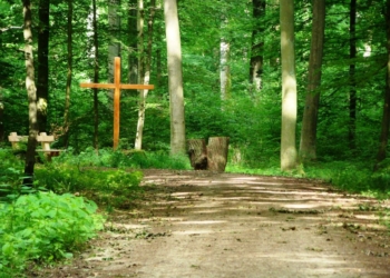 Verkehrssicherung im Ruheforst Herzogtum Lauenburg-Fredeburg