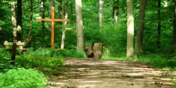 Verkehrssicherung im Ruheforst Herzogtum Lauenburg-Fredeburg