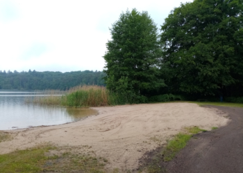 Mölln: Öffnung Liegewiese Rolandseck am Lütauer See