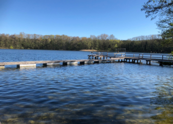 Weiterhin Badeverbot in Behlendorf am See