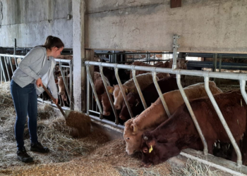 Bankerin mit Stallgeruch