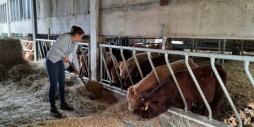 Bankerin mit Stallgeruch