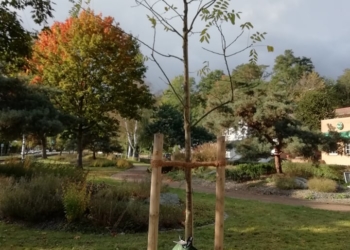 Pflanzpartys in Geesthacht