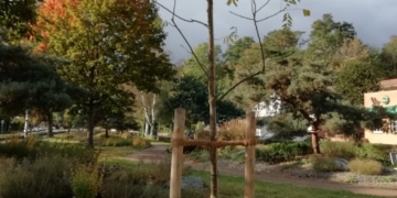 Pflanzpartys in Geesthacht