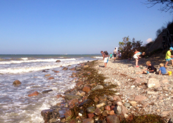 GeoPark: Steine am Strand