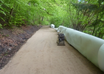 Waldwanderweg am Ratzeburger Küchensee gesichert