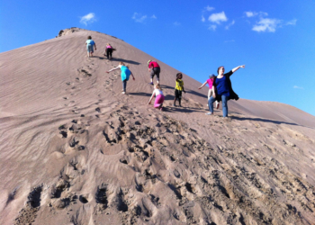 Strandsteine und Landsteine