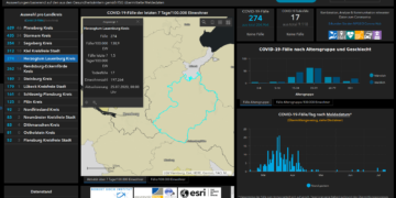 Gemeldete Covid19-Fälle, Stand 25. Juli