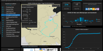 Gemeldete Covid19-Fälle, Stand 26. Juli