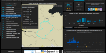 Gemeldete Covid19-Fälle, Stand 29. Juli