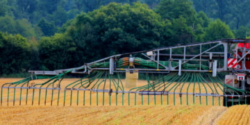 Nach der Ernte ist vor der Ernte