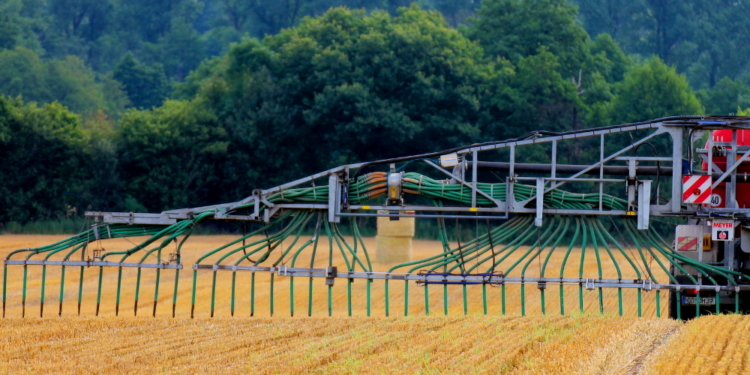 Nach der Ernte ist vor der Ernte
