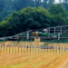 Nach der Ernte ist vor der Ernte