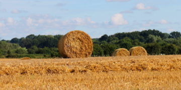 Es fehlt nur noch die schöne Müllerstochter…