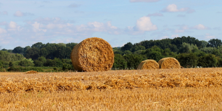 Es fehlt nur noch die schöne Müllerstochter…