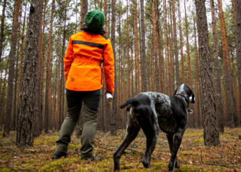 Klimageschädigter Wald: IG BAU fordert mehr Forstpersonal im Kreis Herzogtum Lauenburg