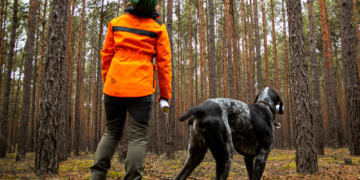 Klimageschädigter Wald: IG BAU fordert mehr Forstpersonal im Kreis Herzogtum Lauenburg