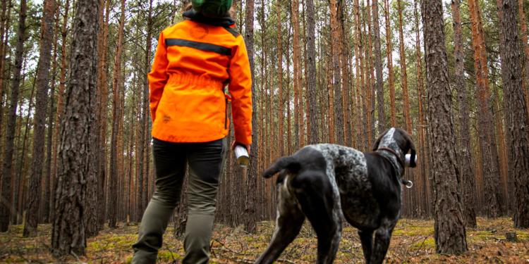 Klimageschädigter Wald: IG BAU fordert mehr Forstpersonal im Kreis Herzogtum Lauenburg