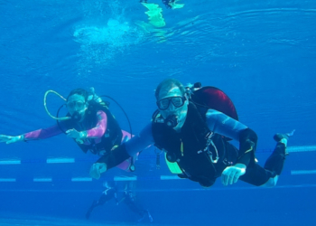 Sonne im Waldschwimmbad für Tauchanfänger