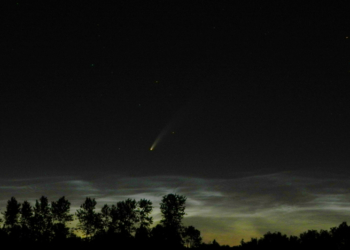 Komet NEOWISE am Berkenthiner Nachthimmel