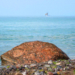GeoPark: Von Steinen und Meer