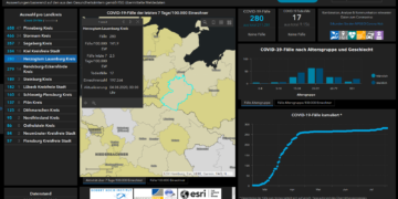 Gemeldete Covid19-Fälle, Stand 4. August