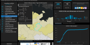 Gemeldete Covid19-Fälle, Stand 8. August