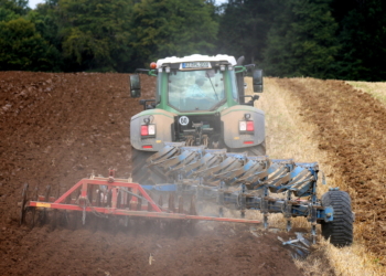 Zwischenfrüchte – Zeit zum durchatmen für den Boden