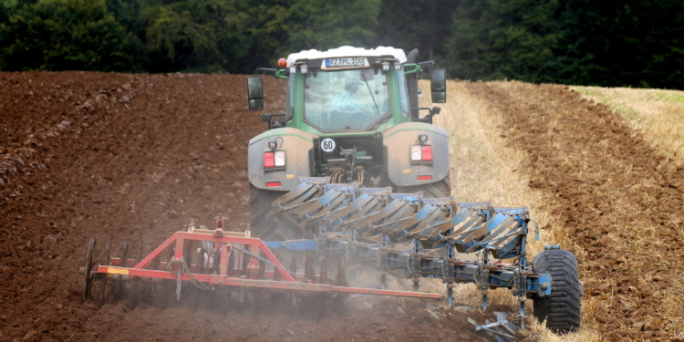 Zwischenfrüchte – Zeit zum durchatmen für den Boden