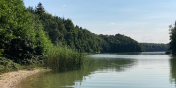 Erholung zu Lasten des Naturschutzes – ‚Tatort‘ Garrensee