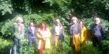 Forsteinrichtungswerk – Ein Plan für die Zukunft des Geesthachter Stadtwaldes