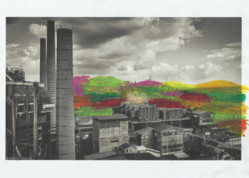 ‚Blühende Landschaften‘ – Ein KinderKunstWettbewerb im Kreis Herzogtum Lauenburg