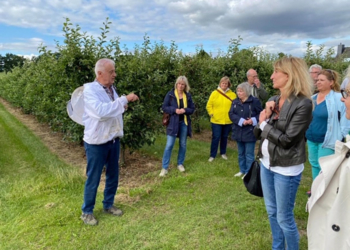 SPD: Wie geht es den Bienen im Herzogtum Lauenburg?