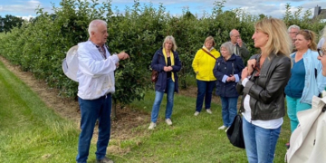 SPD: Wie geht es den Bienen im Herzogtum Lauenburg?