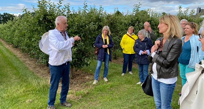 SPD: Wie geht es den Bienen im Herzogtum Lauenburg?