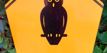 Erholung zu Lasten des Naturschutzes – ‚Tatort‘ Garrensee