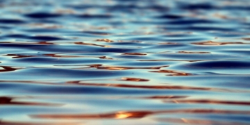 Buchholz: Badeverbot am Ratzeburger See