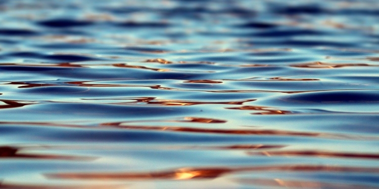 Buchholz: Badeverbot am Ratzeburger See