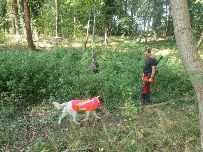 ASP Spürhund