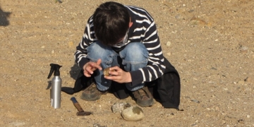 GeoPark Familienexkursion – Seeigel, Kugelschwamm & Co.