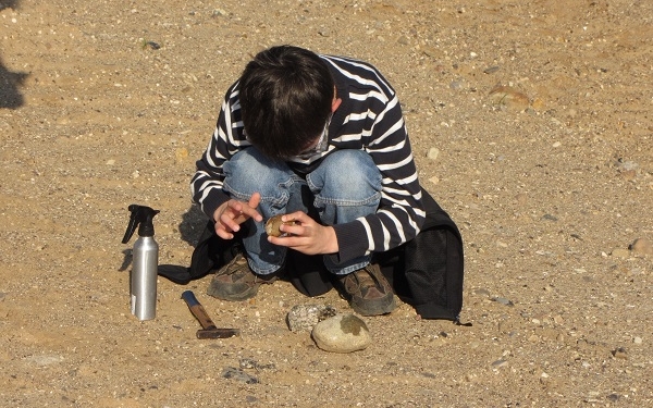 GeoPark Familienexkursion – Seeigel, Kugelschwamm & Co.