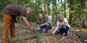 CDU für mehr Vielfalt im Wald