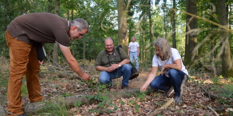 CDU für mehr Vielfalt im Wald