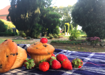 Friedhöfe als Orte des Lebens