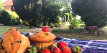 Friedhöfe als Orte des Lebens